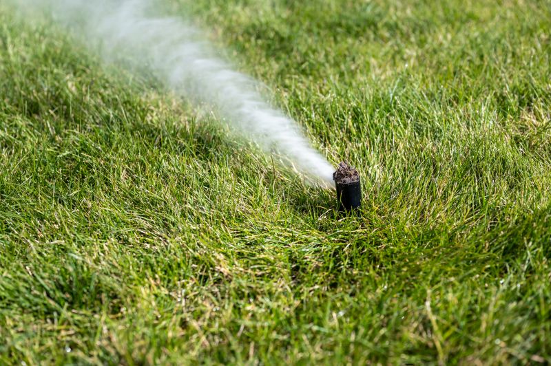 Lawn Sprinkler System Preparation